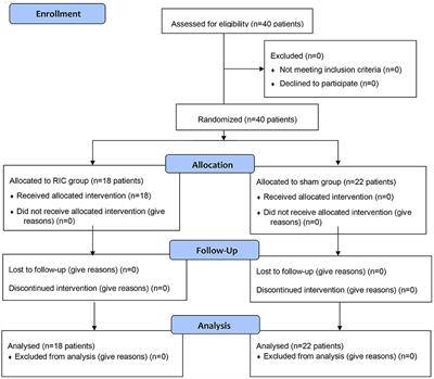 Remote Ischemic Conditioning May Improve Disability and Cognition After Acute Ischemic Stroke: A Pilot Randomized Clinical Trial